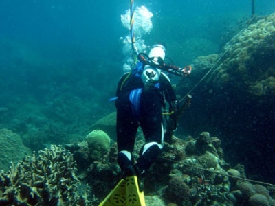 Marine-Monitoring-Divers-1