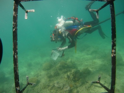 Marine-Monitoring-Divers-2